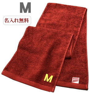 CjV ^Iy}t[^IGW@MzO X|[c ^  ^I hJ  v[g Wp^I  ^ 20cm×115cm Z ^ ̈ 