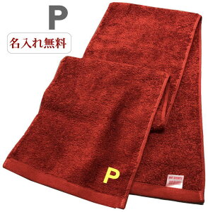 CjV ^Iy}t[^IGW@PzO X|[c ^  ^I hJ  v[g Wp^I  ^ 20cm×115cm Z ^ ̈ 