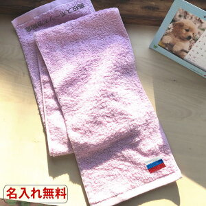 y}t[^IsN@ VAzO LO^I ^I ^  l[ hJ X|[c  }t[^I  D ܕi ^I X|[cϐ  