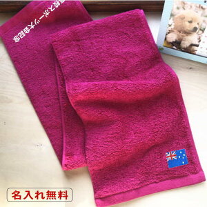 マフラータオル ピンクの人気商品 通販 価格比較 価格 Com