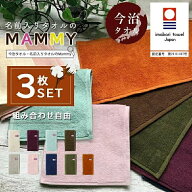 【 極薄縦長ハンカチタオル3枚セット名前なし】3セットまで送料無料 メール便・定形外3セットまで送料無…