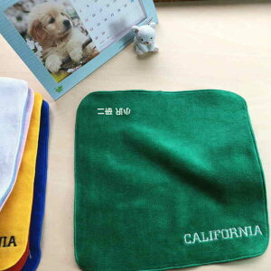 O nJ`y22cmnJ`CALIFORNIA̕/O[z^InJ` hJ l[hJ ^I  ^InJ` w j̎q jq Z  av[g w