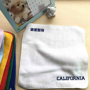 _Si5%OFFN[|zz^ ڂ ^Iy22cm^InJ`CALIFORNIA̕/ItzCgzO nJ` ^InJ` hJ l[hJ ^I   av[