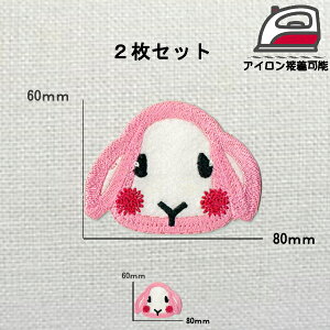 N-16  2Zbg  ACڒ bvC[