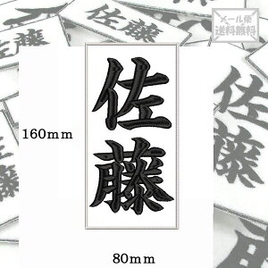 y160mm×80mmzIWihJbyl[I[_[ c  Ή