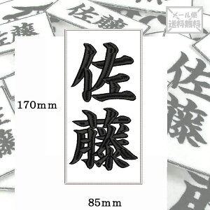 y170mm×85mmzIWihJbyl[I[_[ c  Ή