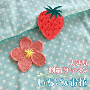 傫߂ 傫߂ hJby hJ by AbvP ͂  t[ flower gsJt[ vA Plumeria C`S strawberry Xgx[ x[ An t  킢