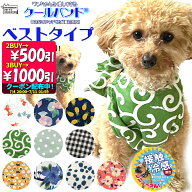 【お買い物マラソン★200円引クーポン配布中】＼最大1000円OFFクーポン配布中／クールバンド （ベストタ…