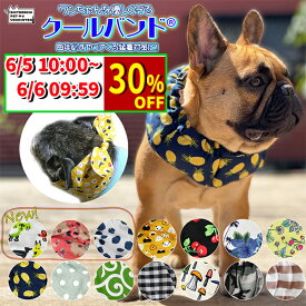 【広告の品★時間限定30％引】クールバンド ＆ 保冷剤 5個 セット 犬 クール ネッククーラー クールネック 暑さ対策 熱中症対策 散歩 首 ひんやり 冷たい メール便 送料無料 犬用 ペット用 冷却グッズ 小型犬 中型犬 大型犬 【 楽天1位！】 スカーフ バンダナ