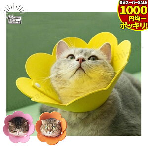 y12/5IΏۏi15%N[|zzzyyVX[p[SALE1000~|bLzGUxXJ[ L \tg \tgGUxXJ[ Lp p㒅 Lpi LpfC[ObY y Ђ܂ 