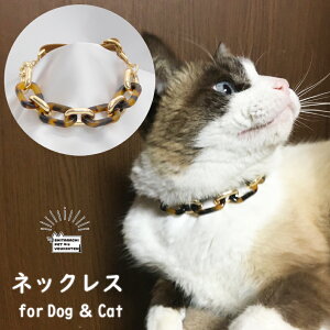 ybgp ANZT[ [ `F[B ] lbNX }Olbgߋ S Abv EȒP lbNX L  p[eB[ SNS  [pt905]