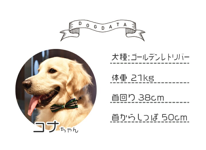 楽天市場 犬 おもちゃ オモチャ 音が鳴る 骨型 ボーン型 メッシュトイ 鳴き笛 スクィーカー入り 投げる 引っ張る 歯磨き ハミガキ オーラル デンタルケア 犬のおもちゃ 犬猫グッズの下町ペット用品店 楽天市場 犬 おもちゃ オモチャ 音が鳴る 骨型 ボーン型 メッシュトイ 鳴き笛 スクィーカー入り 投げる 引っ張る 歯磨き ハミガキ オーラル デンタルケア 犬のおもちゃ 犬猫グッズの下町ペット用品店