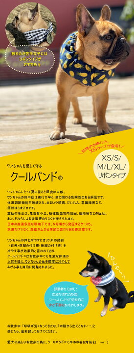 クールバンド & 保冷剤5個 犬 クールバンダナ クールネック ネッククーラー ペット用 暑さ対策 犬用 猫用 熱中症対策 首ひんやり 冷感 冷却 首冷やす つめたい スヌード スカーフ 小型犬 中型犬 大型犬 かわいい 散歩 唐草 送料無料 犬猫グッズの下町ペット ... 小型犬 中型犬 クッキーモンスター メッシュ洋服