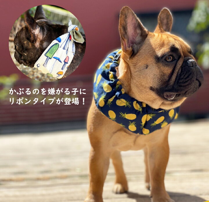 楽天市場 最大800円引クーポン配布中 クールバンド 保冷剤5個 犬 クールバンダナ クールネック ネッククーラー ペット用 暑さ対策 犬用 猫用 熱中症対策 首ひんやり 冷感 冷却 首冷やす つめたい スヌード スカーフ 小型犬 中型犬 大型犬 かわいい 散歩 唐草 送料
