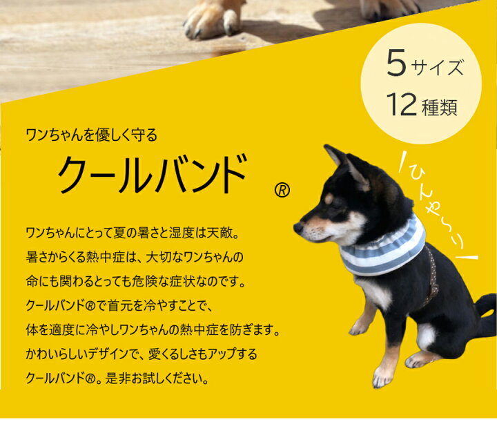 犬用クールバンド 保冷剤付き ペット用暑さ対策 クールバンダナ 犬 首ひんやり ネッククーラー 夏 冷却 首冷やす 熱中症対策 つめたい