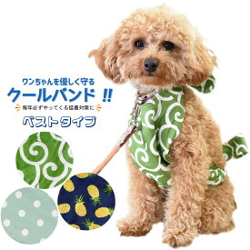 クールバンド （ベストタイプ） ＆ 保冷剤5個 犬 クールベスト クールエプロン 胸当て ペット用 暑さ対策 犬用 猫用 熱中症対策 胸ひんやり 冷感 冷却 胸冷やす つめたい 小型犬 中型犬 かわいい 散歩 送料無料