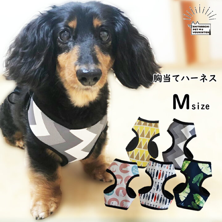 楽天市場】ハーネス 犬 小型犬 Mサイズ 犬用ハーネス 犬ハーネス おしゃれ 服 犬服 可愛い 犬用 ウェア 胴輪 犬具 胴輪 散歩 お出かけ 簡単装着 幾何学模様 布製 シロクマ ドッグハーネス 送料無料 : 犬猫グッズの下町ペット用品店 楽天市場】ハーネス 犬 小型犬 Mサイズ 犬用ハーネス 犬ハーネス おしゃれ 服 犬服 可愛い 犬用 ウェア 胴輪 犬具 胴輪 散歩 お出かけ 簡単装着 幾何学模様 布製 シロクマ ドッグハーネス 送料無料 : 犬猫グッズの下町ペット用品店