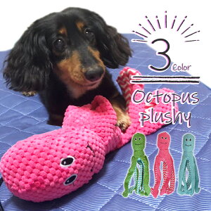     ^R ʂ   INgpX  ^ J~J~ I` ނ ߋ   ̂ ̃I` p 킢 