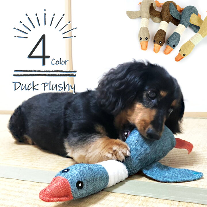 楽天市場 再入荷 犬 おもちゃ オモチャ ぬいぐるみ あひる アヒル 鴨 かも カモ 鳥 音が鳴る 鳴き笛 スクィーカー 入り 引っ張る 投げる ける ぬいぐるみにも 猫 小型犬 中型犬 大型犬 犬猫兼用 ポリエステル 音の出るおもちゃ 犬猫グッズの下町ペット用品店 楽天市場 再入荷 犬 おもちゃ オモチャ ぬいぐるみ あひる アヒル 鴨 かも カモ 鳥 音が鳴る 鳴き笛 スクィーカー 入り 引っ張る 投げる ける ぬいぐるみにも 猫 小型犬 中型犬 大型犬 犬猫兼用 ポリエステル 音の出るおもちゃ 犬猫グッズの下町ペット用品店