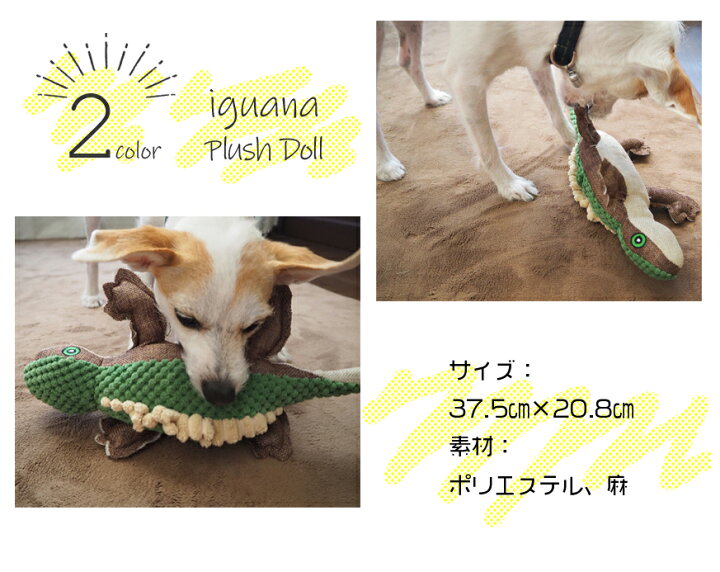 楽天市場 おもちゃ 犬 オモチャ ぬいぐるみ イグアナ 丈夫 噛む 音が鳴る 鳴き笛 スクィーカー入り デンタルケア けりぐるみ 猫 小型犬 中型犬 大型犬 犬猫兼用 トカゲ 犬のおもちゃ 犬猫グッズの下町ペット用品店