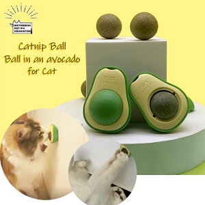 Lp  Lbgjbv{[  A{Jh A{Kh ߋ I` Lbg jbv }^^r CknbJ ܂ 肷 낲 r߂ ybgpi XgX O[ L