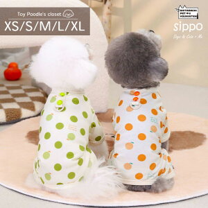 y   z^ hbOEFA t[chbgp[X