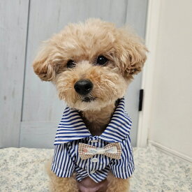 【 犬 服 】小型犬 ドッグウェア 蝶ネクタイ付きシャツ