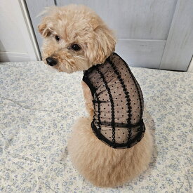 【 犬 服 】小型犬 ドッグウェア ゴシックなシースルータンクトップ