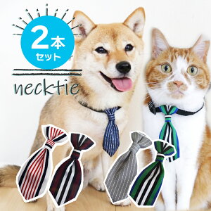 y1000~|bLz2{Zbg  ybgp p Lp lN^C XgCv ܂ ANZT[  킢 LO   ʐ^Be AWX^[t TCY 