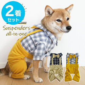 y1000~|bLz2Zbg hbOEFA   I[C Ȃ p[X `FbN TXy_[ ĕ O΍  lN^C {[CbV JWA  h