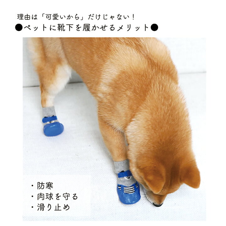 楽天市場 送料無料1000円ポッキリ 犬の靴下 犬 滑り止め 靴下 犬靴下 散歩用靴下 犬用 ペット靴下 散歩 ソックス 老犬 足 フローリング 肉球 保護 小型犬 中型犬 靴 シューズ ドッグシューズ 犬の靴 犬用靴 犬靴 滑り 止め テープ付き シリコン アスファルト 防寒