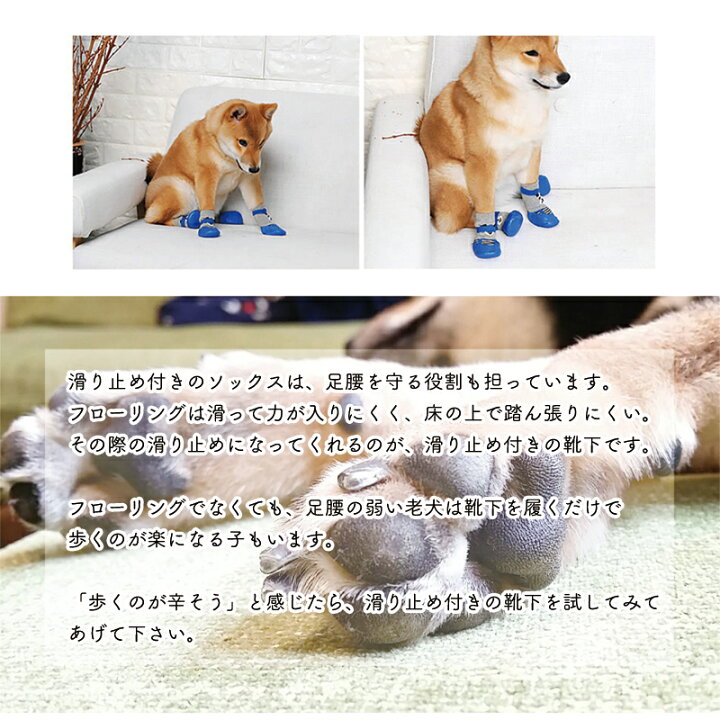 楽天市場 送料無料1000円ポッキリ 犬の靴下 ドッグソックス 犬用 靴下 散歩 犬 ソックス 夏 老犬 足 滑り止め フローリング 肉球 保護 暑さ対策 小型犬 中型犬 靴 シューズ ドッグシューズ 犬の靴 犬用靴 犬靴 老 滑り 止め テープ付き シリコン アスファルト 防寒 楽天市場 送料無料1000円ポッキリ 犬の靴下 ドッグソックス 犬用 靴下 散歩 犬 ソックス 夏 老犬 足 滑り止め フローリング 肉球 保護 暑さ対策 小型犬 中型犬 靴 シューズ ドッグシューズ 犬の靴 犬用靴 犬靴 老 滑り 止め テープ付き シリコン アスファルト 防寒