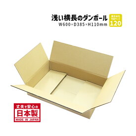 ダンボール 120サイズ 10枚購入 長さ600mm×幅385mm×高さ110mm 0-0ケース アパレル用 横長 洋服を送る しっかりしている 丈夫 保存箱 段ボール箱 送料無料