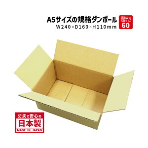 _{[ z60TCY i/A5-110i100jA5TCY 240×160×110mm