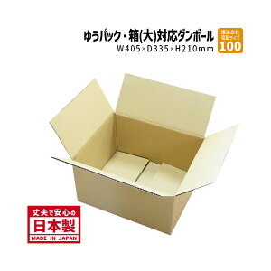 100TCY 䂤pbNΉTCY 10w 405mm×335mm×210mm AP[X ݂ zp lbgp i{[