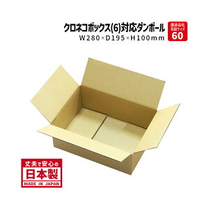 _{[ NlRBOX6ΉTCY 60TCY _{[ 10w 280mm×195mm×100mm B5-100P[X 肵Ă v ₨َq̔ i{[ 