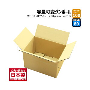 _{[ NlRBOX10ΉP[X 100TCY _{[ 1w 350mm×250mm×230mm BL-6P[X ł σP[X 肵Ă v i{[ 
