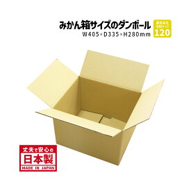 ダンボール 120サイズ みかん箱 1枚だけ購入 長さ405mm×幅335mm×高さ280mm Cケース ネット用 アパレル用 食品用 段ボール箱