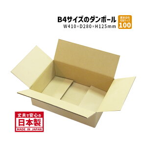 100TCY _{[ 1w 410mm×280mm×125mm DP[X ^ lbgp App Ⴂ_{[ i{[