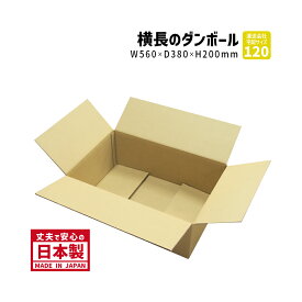 ダンボール 120サイズ 横長ダンボール 1枚だけ購入 長さ560mm×幅380mm×高さ200mm J-3ケース 薄型 ノートパソコンが入る ネット用 アパレル用 高さが低いダンボール 段ボール箱