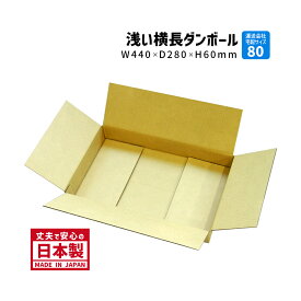 ダンボール 80サイズ 横長ダンボール 10枚セット 長さ440mm×幅280mm×高さ60mm J-6ケース 薄型 ネット用 アパレル用 薄いダンボール 段ボール箱