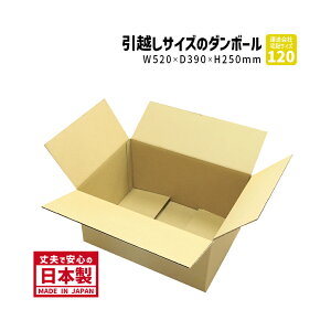 120TCY _{[ 1w 520mm×390mm×250mm P-3P[X zp 肵Ă v ۑ i{[ 