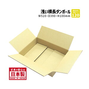 _{[ 120TCY 1w 520mm×390mm×100mm P-4P[X App  m𑗂 肵Ă v ۑ i{[ 