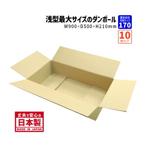 _{[ 170TCY 傫_{[ 10Zbg 900mm×500mm×210mm S-3P[X Ⴂ lbgp App 900mm̃_{[ i{[