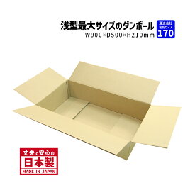 170サイズ 大きいダンボール 横長1枚だけ購入 長さ900mm×幅500mm×高さ210mm S-3ケース 高さが低い ネット用 アパレル用 長さ900mmのダンボール 段ボール箱