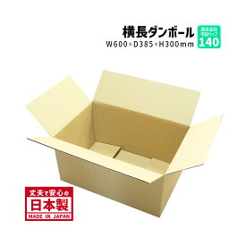ダンボール 140サイズ 大きいダンボール 1枚だけ購入 長さ600mm×幅385mm×高さ300mm SL-1ケース 引っ越し用 しっかりしている 丈夫 保存箱 段ボール箱 送料無料