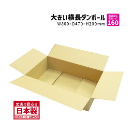 ダンボール 160サイズ 大きいダンボール 1枚だけ 長さ800mm×幅470mm×高さ200mm TY−No.2ケース 横長 アパレル専用 着物が入る ドレスが入る ダウンコートが入る 印刷物が入る 段ボール箱 送料無料