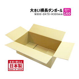 ダンボール 160サイズ 大きいダンボール 1枚だけ 長さ800mm×幅470mm×高さ300mm TY-No.1ケース 横長 アパレル専用 着物が入る ドレスが入る ダウンコートが入る 印刷物が入る 段ボール箱 送料無料