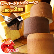 5種から選べる スーパージャンボクーヘン2個 セット 1個450gの超ド級訳あり おやつ スイーツ 送料無料 20…