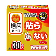 桐灰はらない 30個　4901548603776 -te 防寒 持ち運び 寒さ対策 あったか グッズ 衣服 服 冷え 使い捨て…